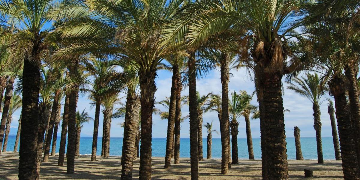Apartamento Carole PLAYA Bajondillo Torremolinos Beach - PLAYA A 30 SEGUNDOS - Wifi - Parking - Terraza Appartamento Esterno foto