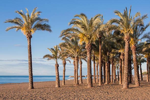 Apartamento Carole PLAYA Bajondillo Torremolinos Beach - PLAYA A 30 SEGUNDOS - Wifi - Parking - Terraza Appartamento Esterno foto
